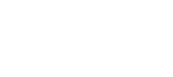 DULEVO – Fayat Group